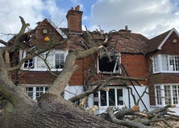 Emergency Roof Repair - Tree on the Roof Emergency Roof Repair - Tree on the Roof